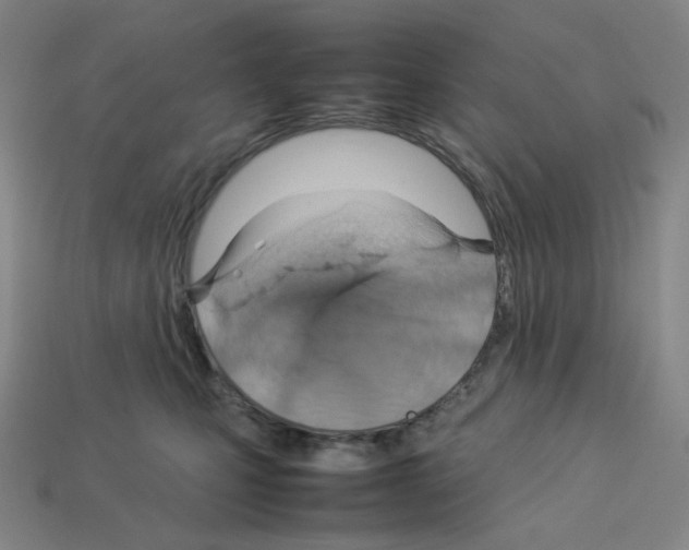 X0000112770471200910011240