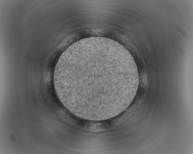 X0000112770472200910011240