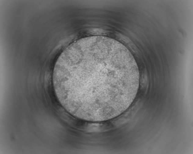 X0000112770473200910011240