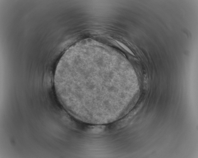 X0000112770474200910011240