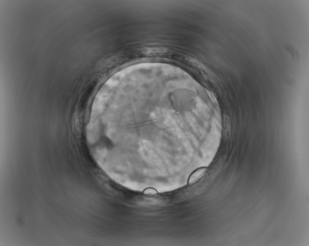 X0000112770475200910011240