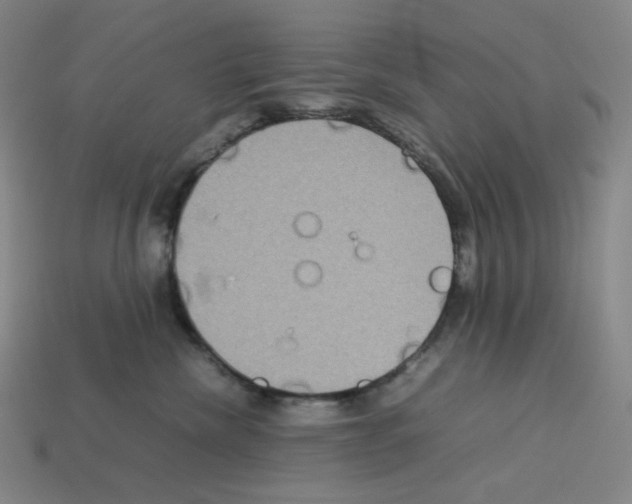 X0000112770476200910011240