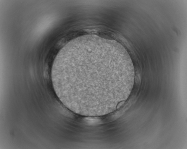 X0000112770477200910011240