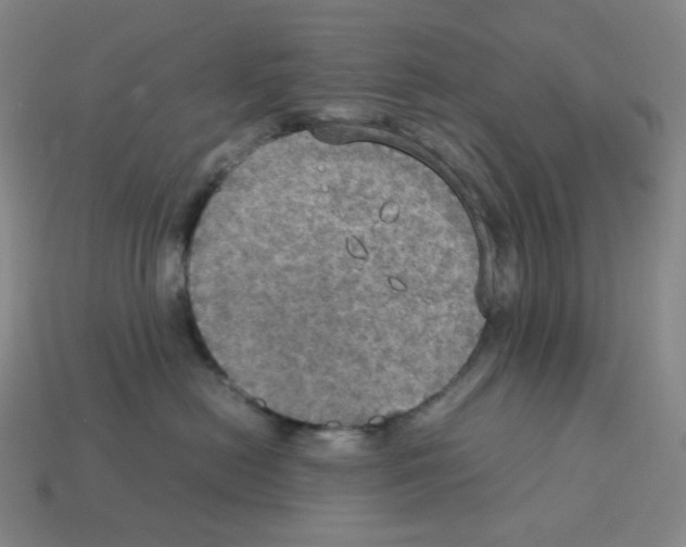 X0000112770478200910011240