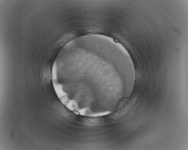 X0000112770479200910011240