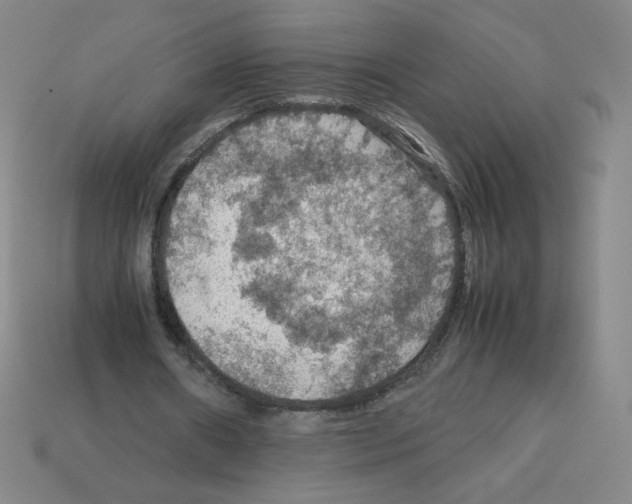 X0000112770482200910011240