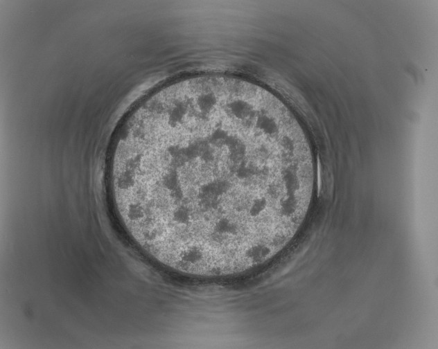 X0000112770483200910011240