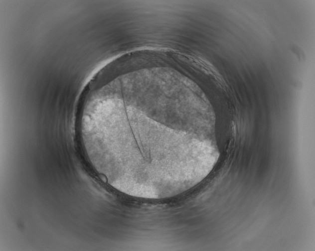 X0000112770484200910011240