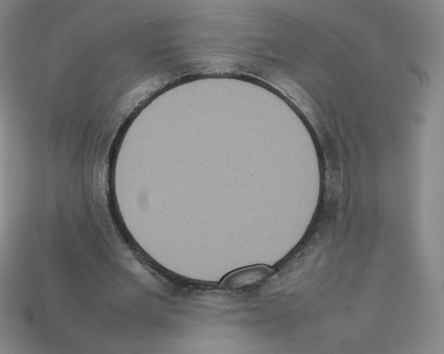 X0000112770485200910011240