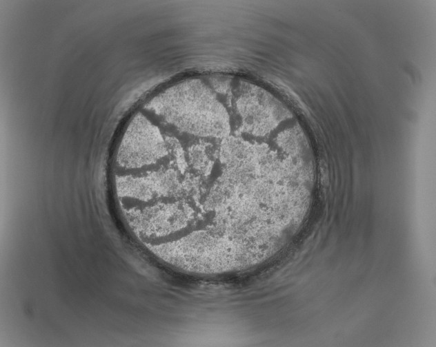 X0000112770487200910011240