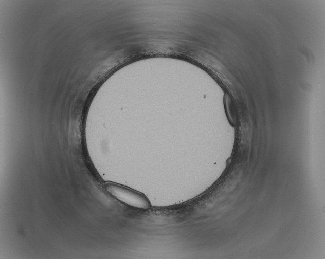 X0000112770489200910011240