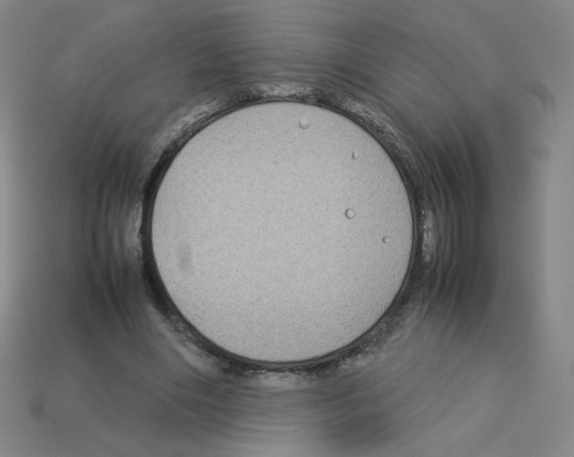 X0000112770490200910011240