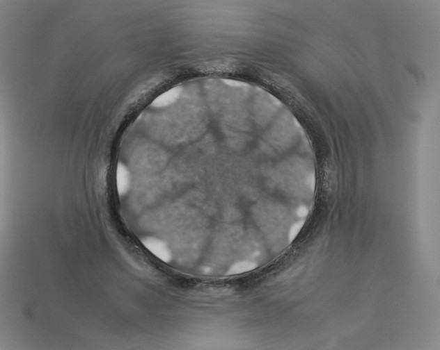 X0000112770491200910011239