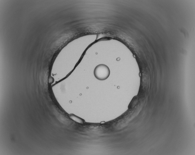 X0000112770493200910011239