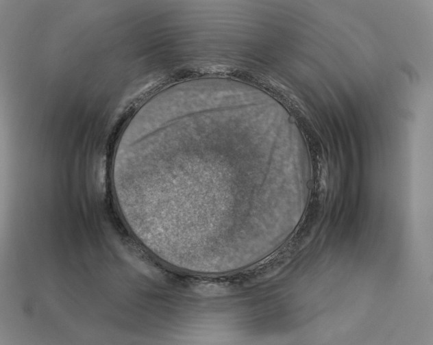 X0000112770494200910011239