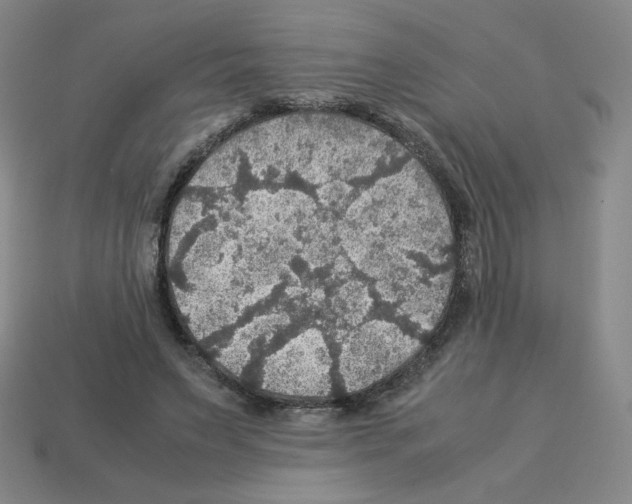 X0000112770495200910011239