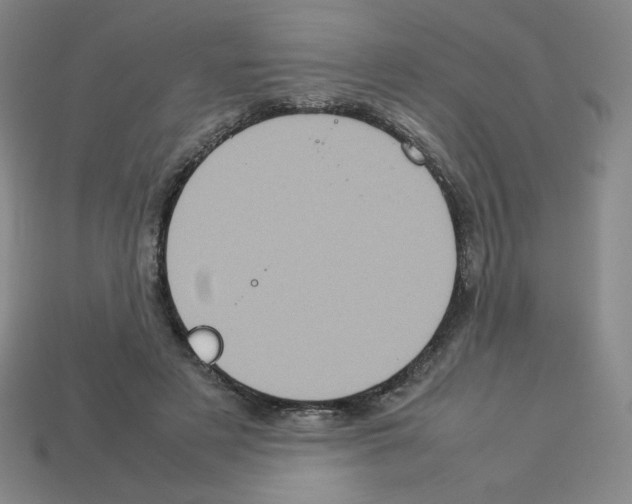 X0000112770497200910011239