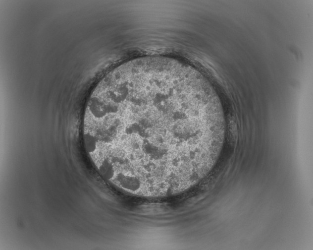 X0000112770499200910011239