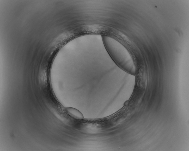 X0000112770500200910011239