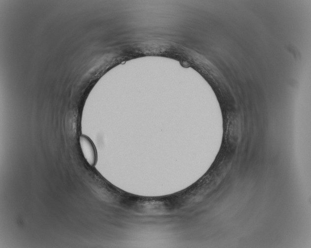 X0000112770501200910011239