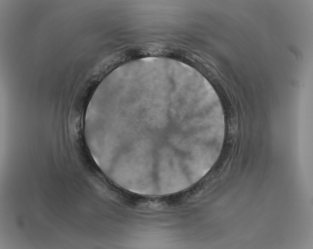 X0000112770503200910011239