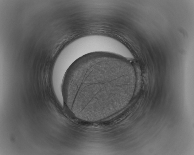 X0000112770504200910011239