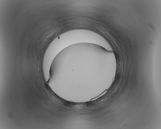 X0000112770505200910011239