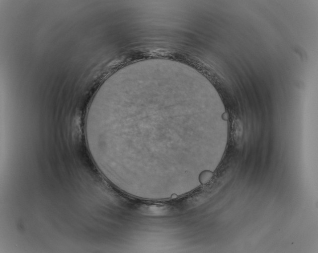 X0000112770506200910011239