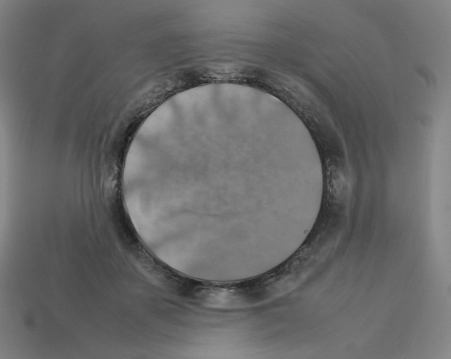 X0000112770507200910011239