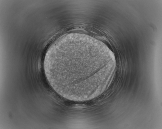 X0000112770508200910011239