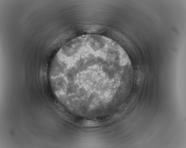 X0000112770510200910011239