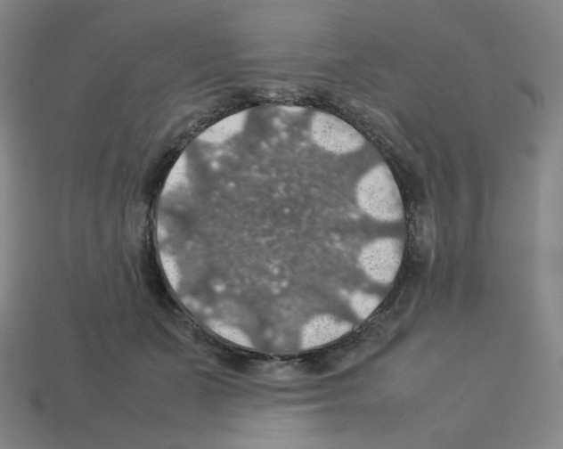 X0000112770511200910011239