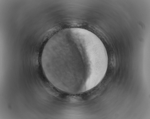 X0000112770512200910011239