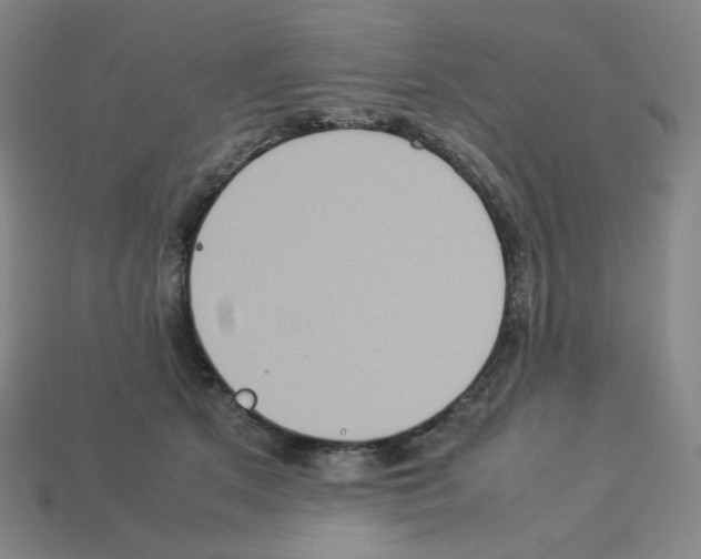 X0000112770513200910011239