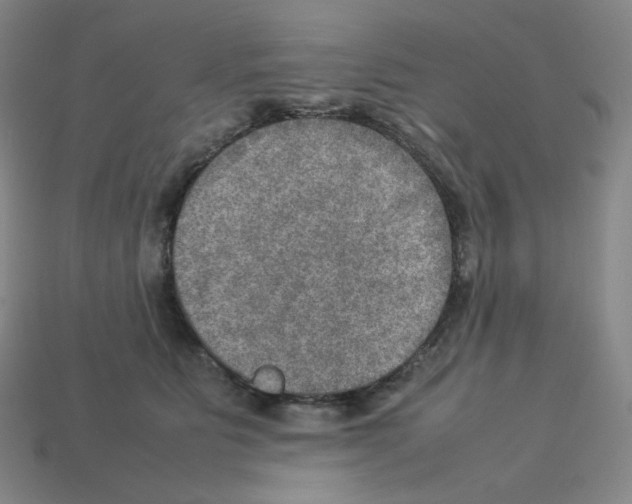 X0000112770515200910011239