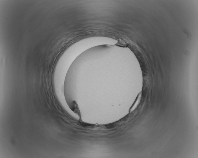 X0000112770517200910011239