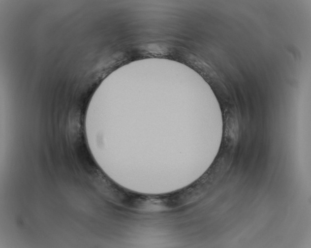 X0000112770518200910011239