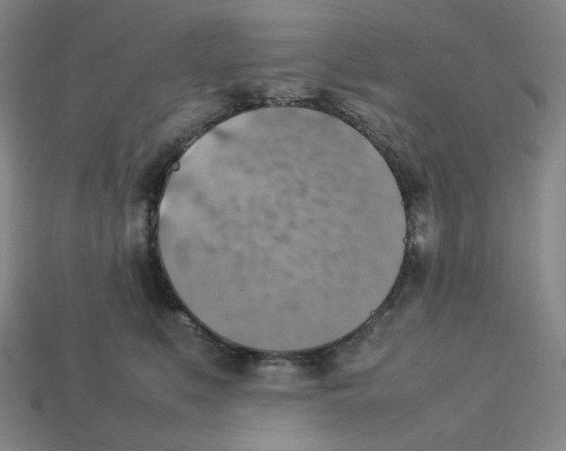 X0000112770519200910011239