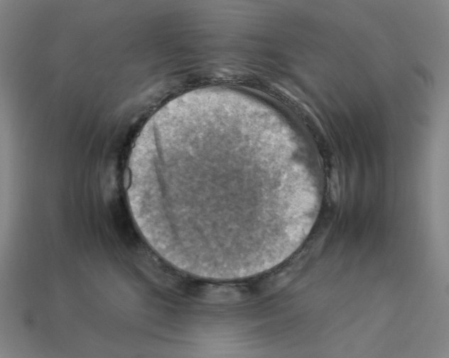 X0000112770520200910011239