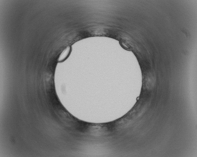 X0000112770521200910011239