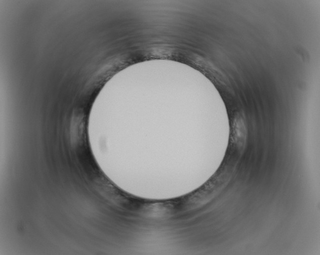 X0000112770522200910011239