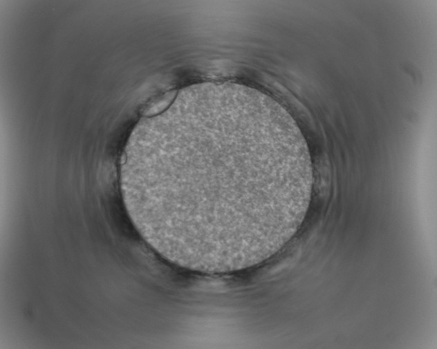 X0000112770523200910011239