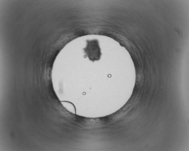 X0000112770525200910011239