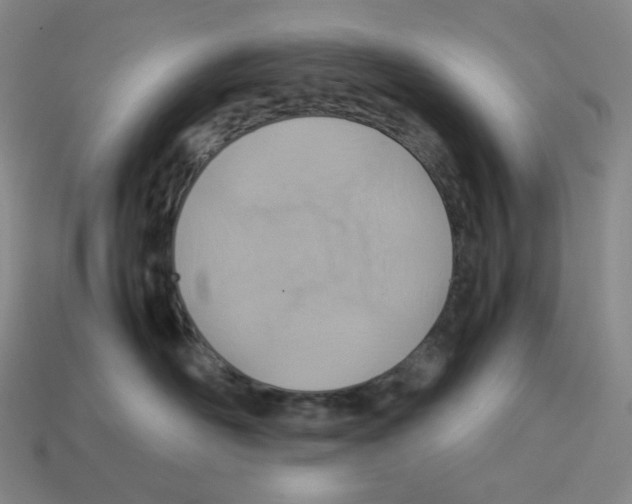 X0000112770526200910011239