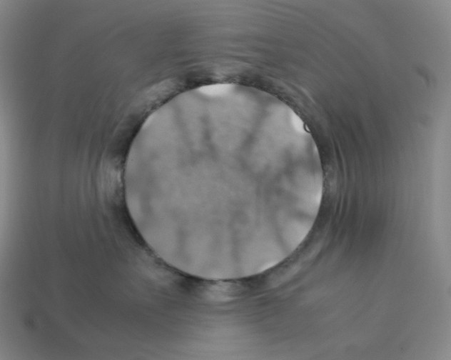 X0000112770527200910011239