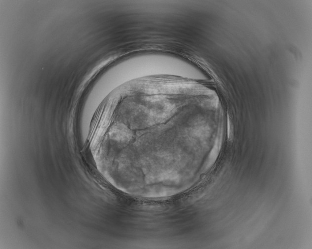 X0000112770531200910011238