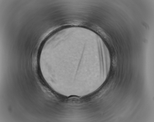 X0000112770532200910011238