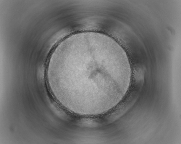 X0000112770534200910011238