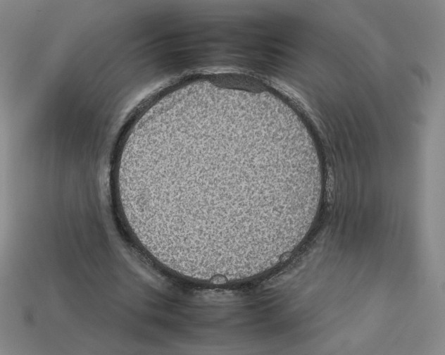 X0000112770535200910011238