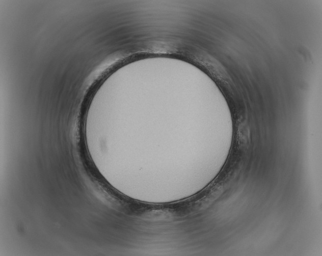 X0000112770536200910011239